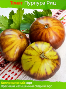 Томат Пурпура Риц
