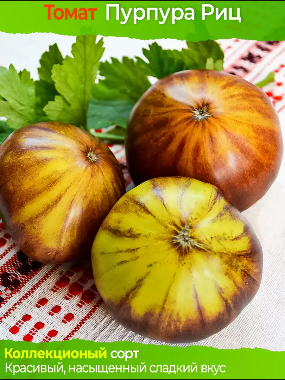 Томат Пурпура Риц