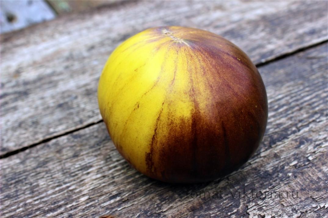 Томат Пурпурный восход 2