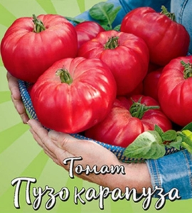 Томат Пузо карапуза