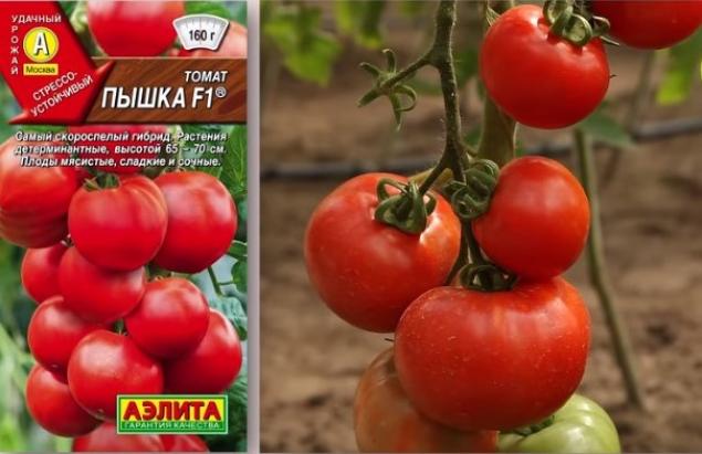 Томат Пышка 2
