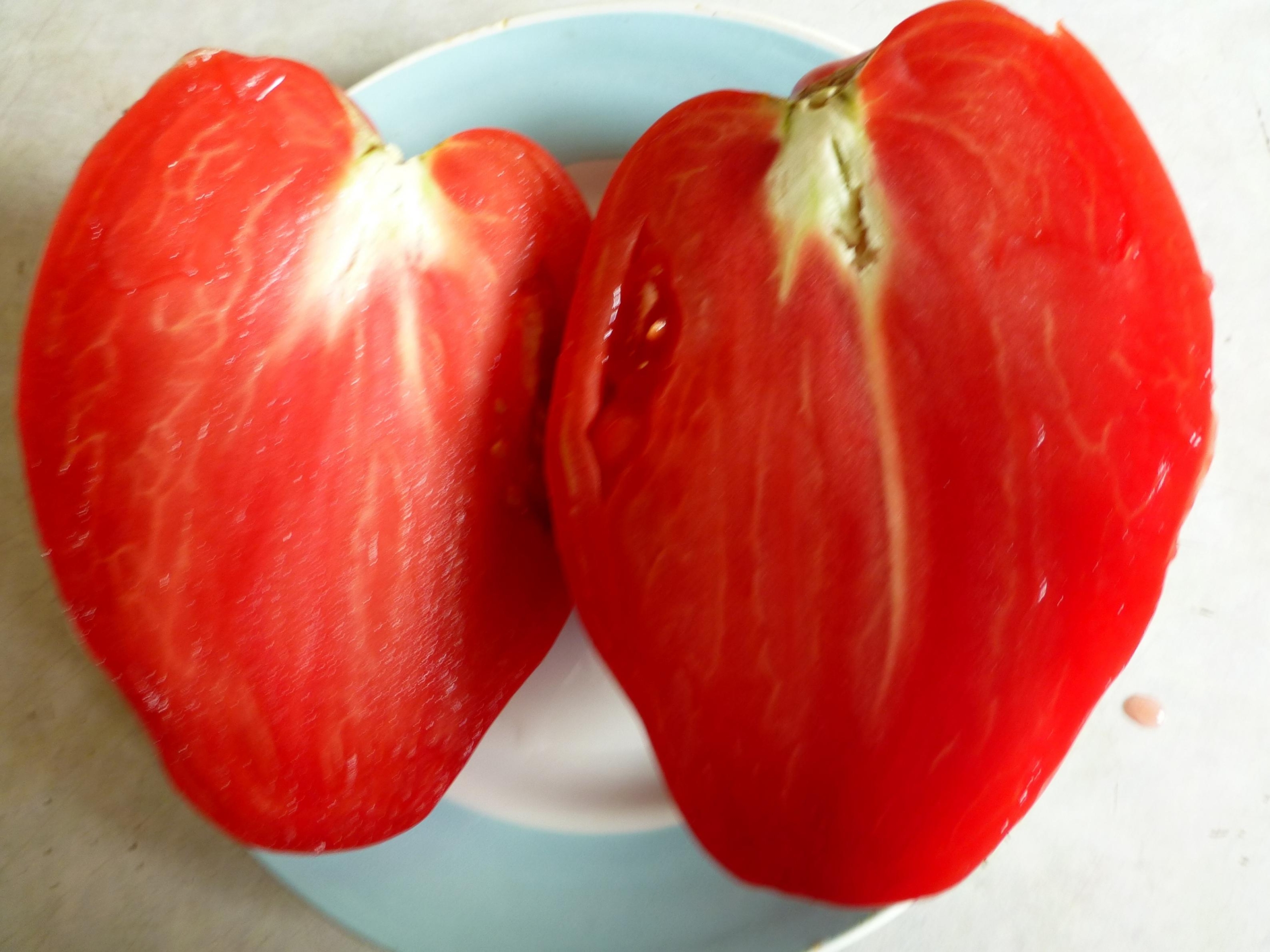 Томат Рабочий выпуск пасты 4