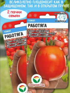 Томат Работяга