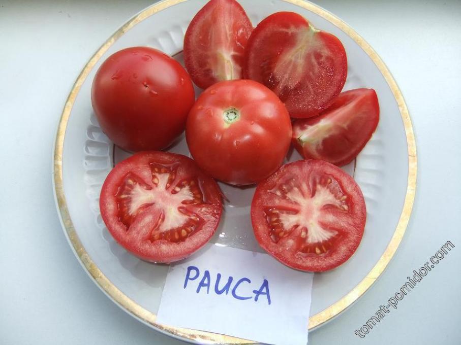 Томат Раиса 3