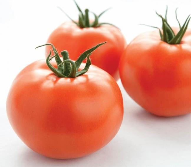 Томат Раиса