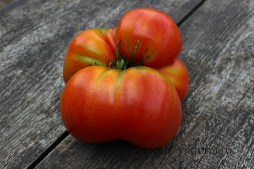 Томат Раритет 3