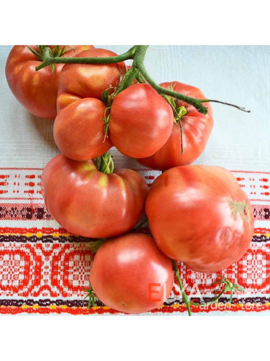 Томат Раритет 4