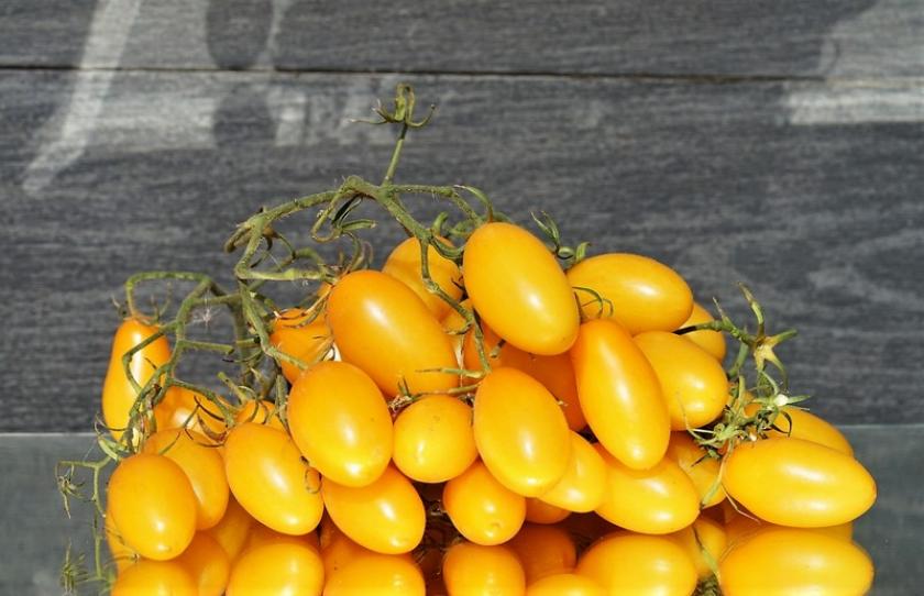 Томат Римская ваза Боргезе 2