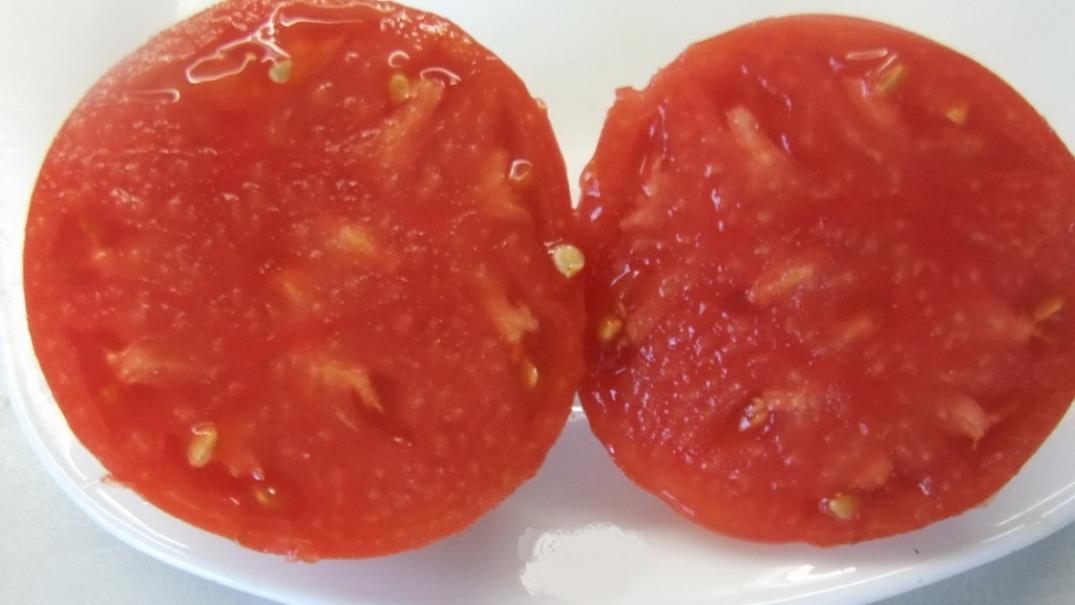 Томат Робс 2