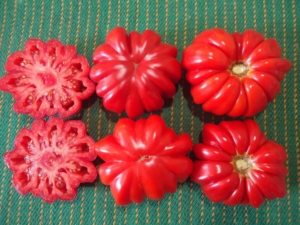 Отзыв про Томат Ромашка