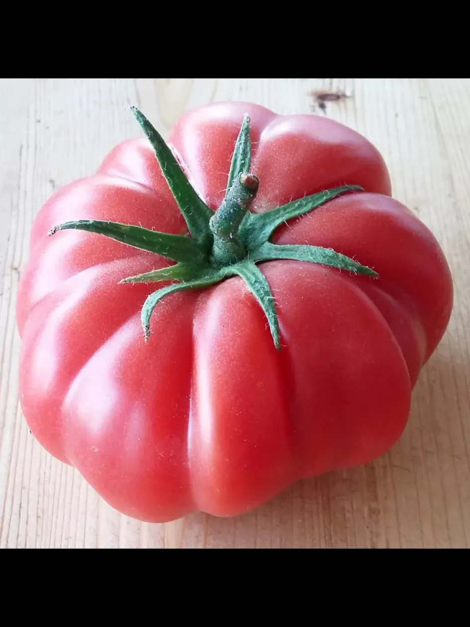 Томат Роза Паво 3