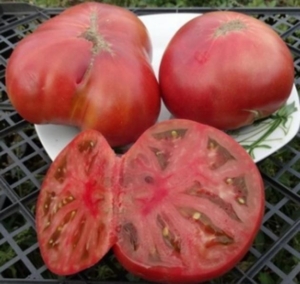 Томат Розелла пурпурная