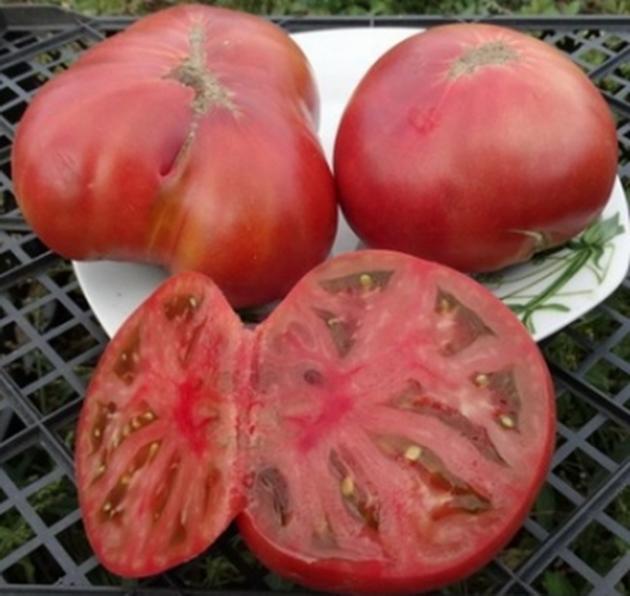 Томат Розелла пурпурная