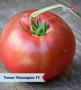 Томат Розмарин
