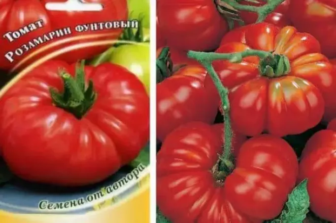 Томат Розмарин фунтовый 2