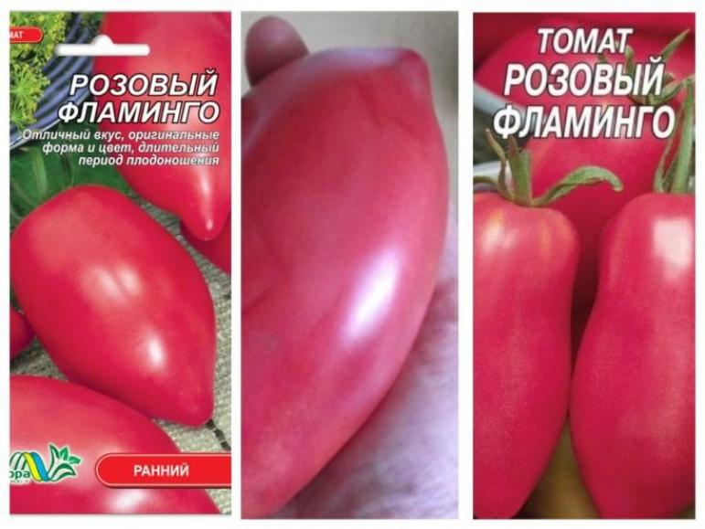 Томат Розовый фламинго 4