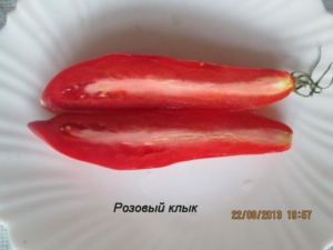 Томат Розовый клык