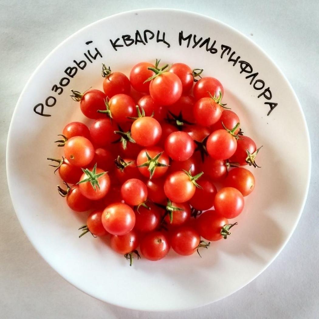 Томат Розовый кварц мультифлора 2