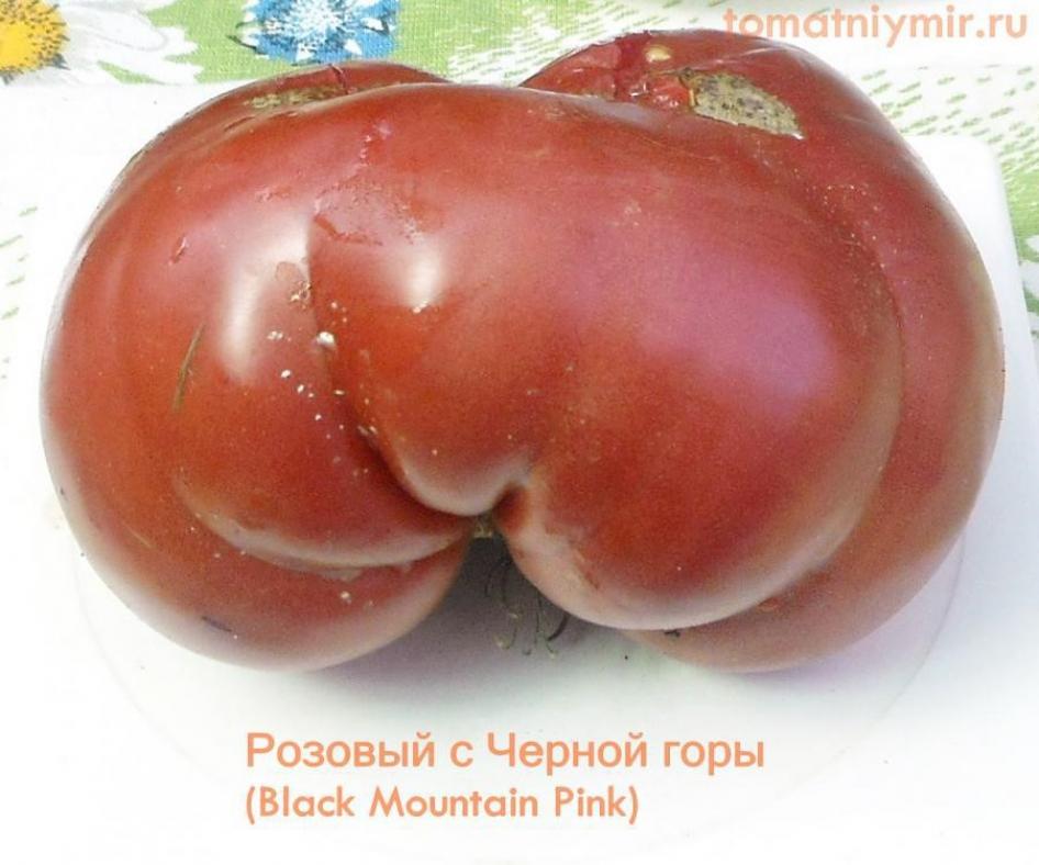 Томат Розовый с Черной горы 2