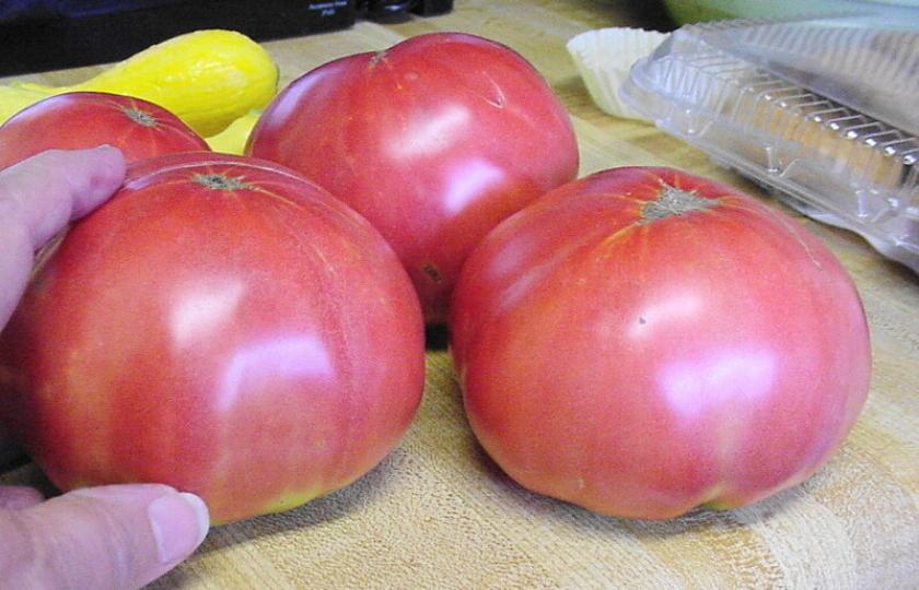 Томат Розовый щербет 2