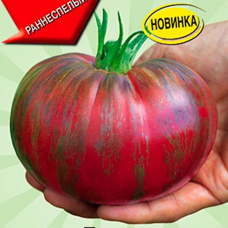 Томат Розовый тигр