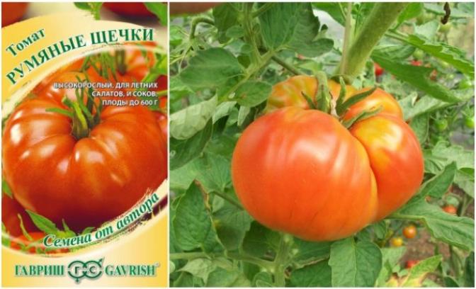 Томат Румяные щечки