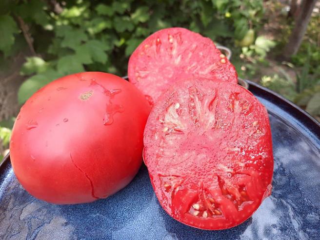 Томат Румынский розовый 2