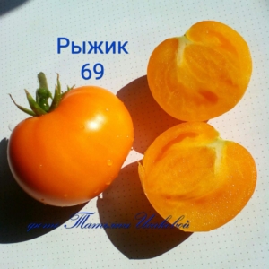 Томат Рыжик