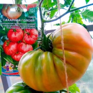 Томат Сахарная голова