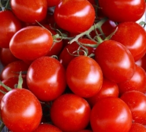 Томат Сахарная слива красная