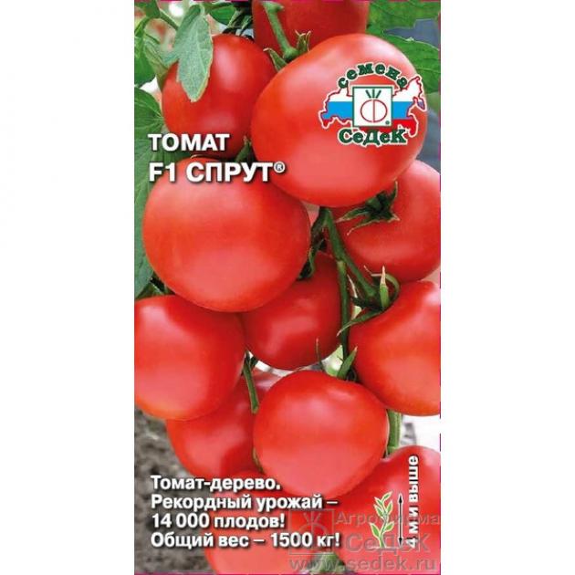 Томат Сахарный спрут 2