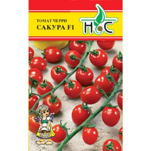 Томат Сакура