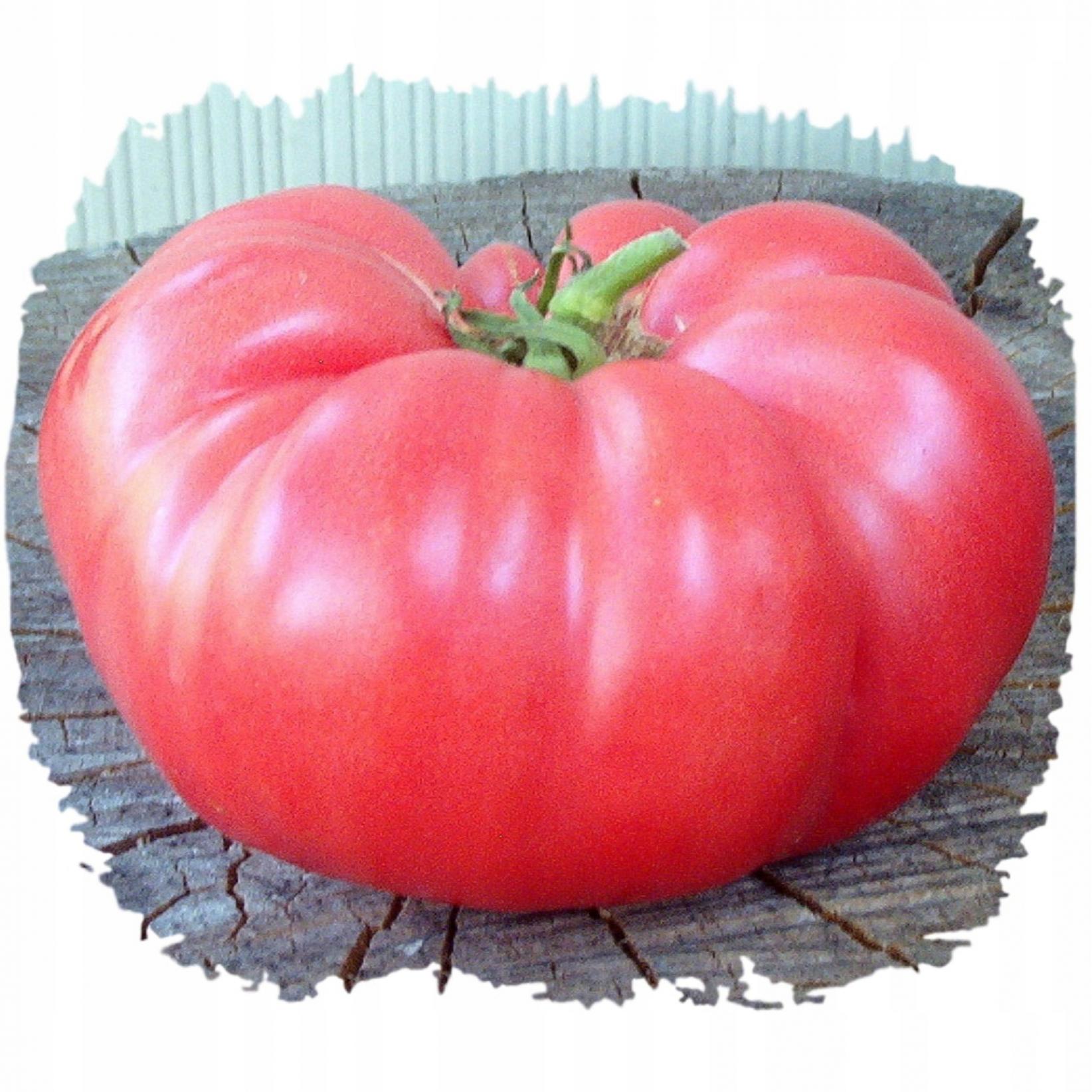 Томат Салатный розовый 3