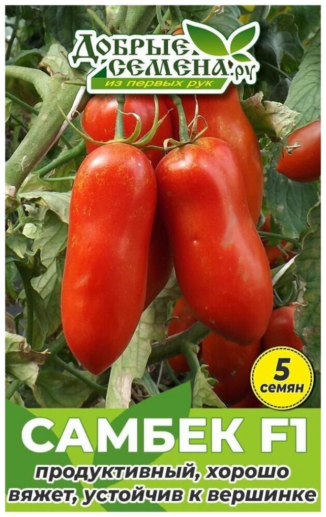 Томат Самбек