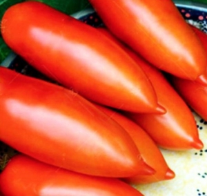 Томат Самкон 12