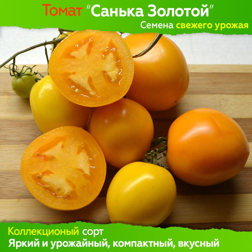 Томат Санька Золотой 2