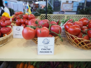 Томат Счастье русское