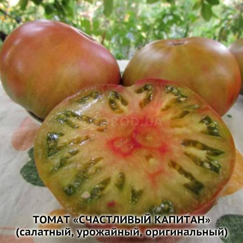 Томат Счастливый капитан 3