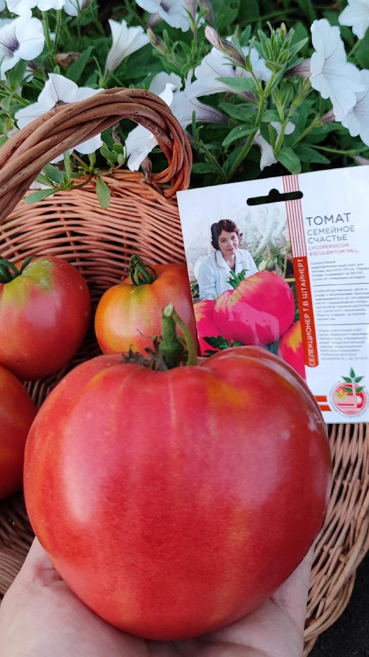 Томат Счастья полна чаша 2