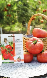 Томат Счастья полна чаша