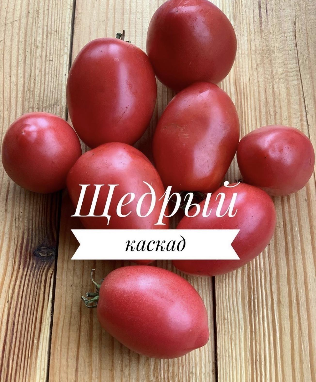 Томат Щедрый каскад 3