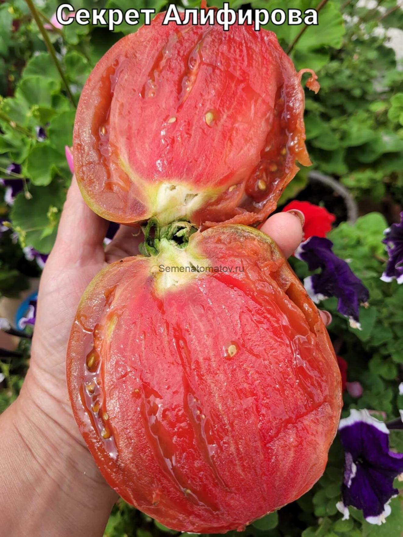 Томат Секрет Алифирова 2