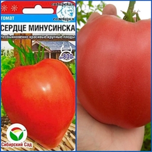 Томат Сердце Минусинска