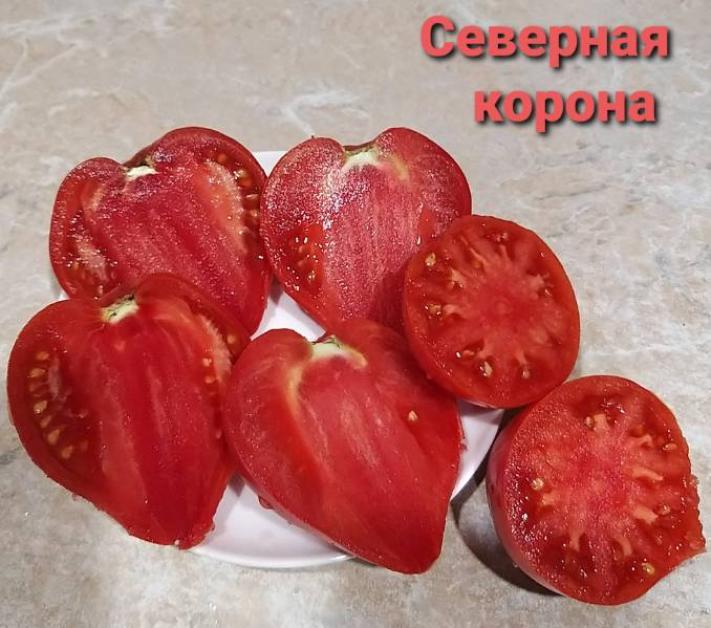 Томат Северная корона 2