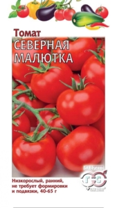 Томат Северная малютка