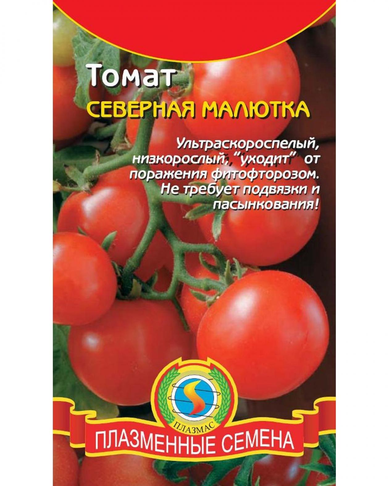 Томат Северная малютка 3
