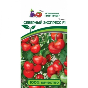 Томат Северный экспресс