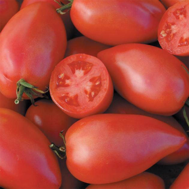 Томат Шебойган 3