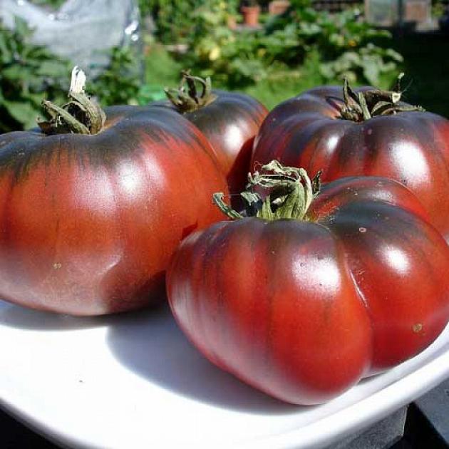 Томат Шоколадная фабрика 3