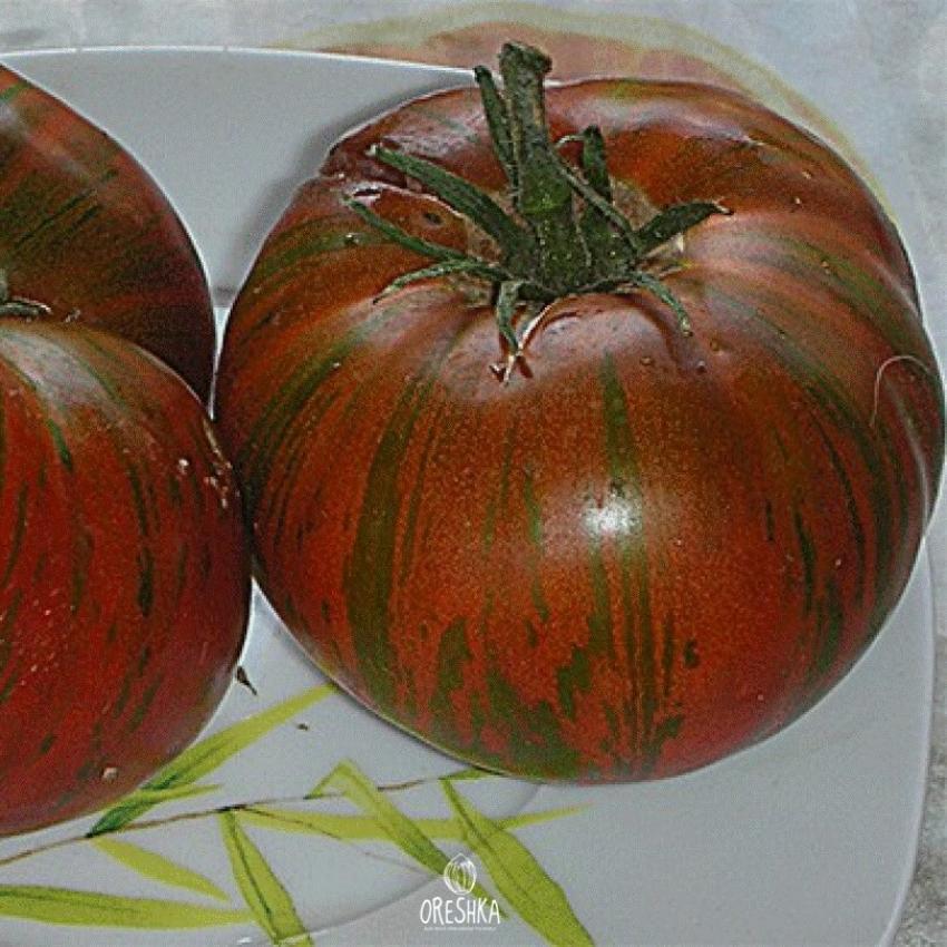Томат Шоколадная глыба 2